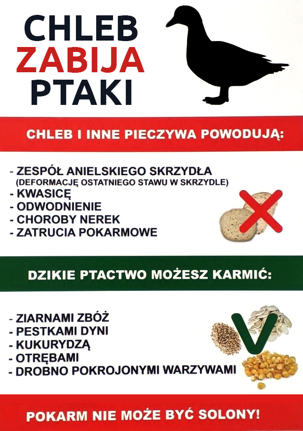 Grafika prezentuje treść komunikatu.