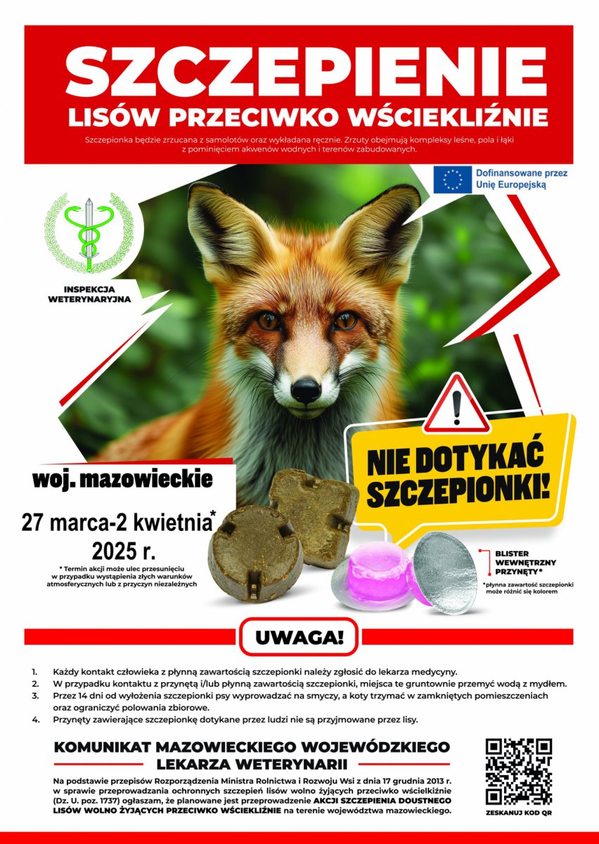 grfaika prezentujaza informację