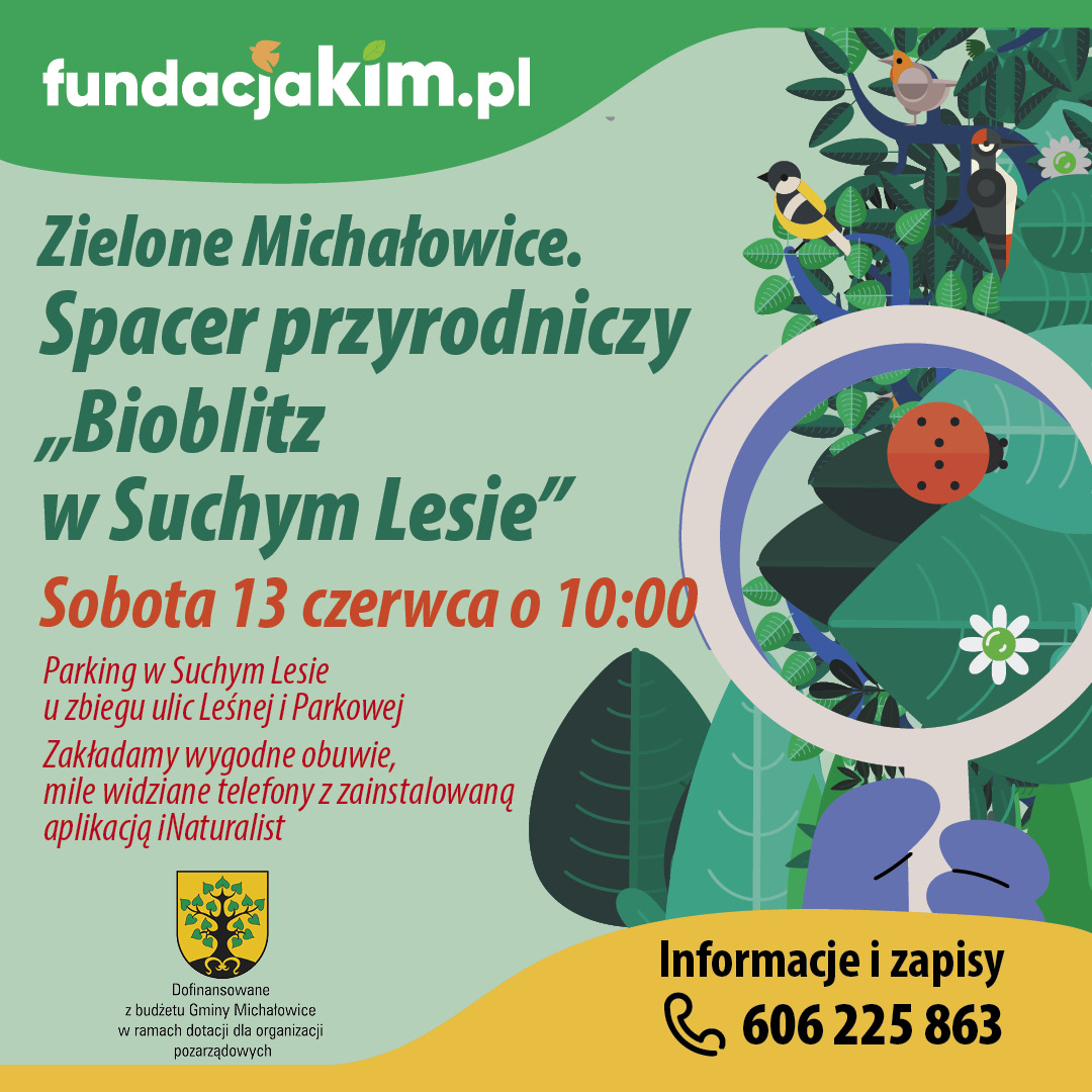 Grafika zawiera treść komunikatu