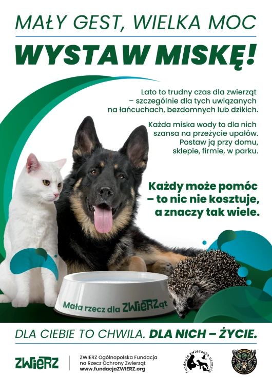 Grafika prezentuje treść komunikatu 